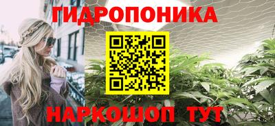 шишки Балахна