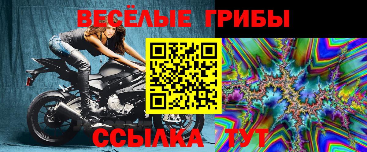 Псилоцибиновые грибы MAGIC MUSHROOMS Домодедово