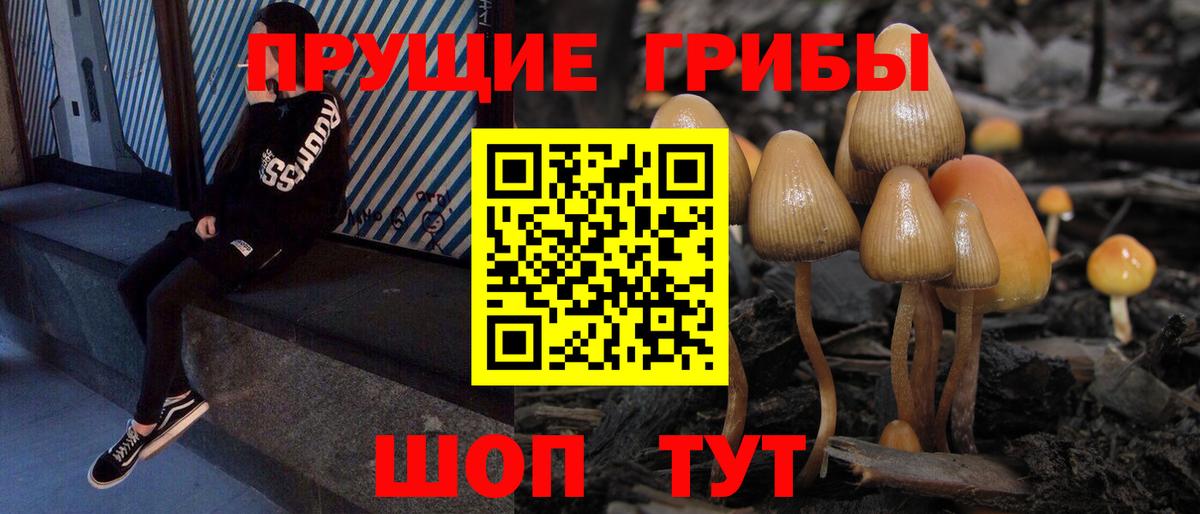 Псилоцибиновые грибы Cubensis  Вход с VPN  Домодедово 
